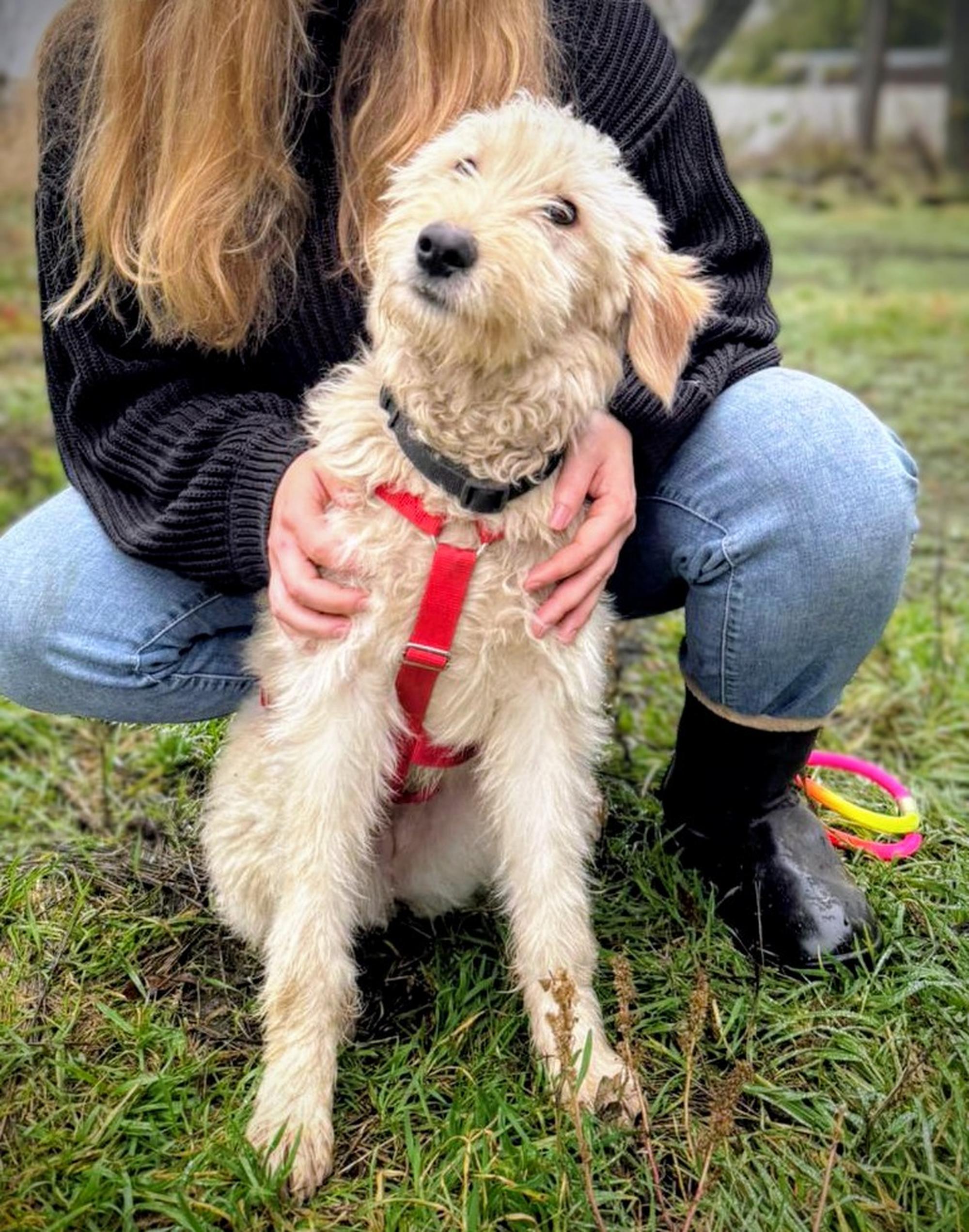 Contesa Chantal Foto 1