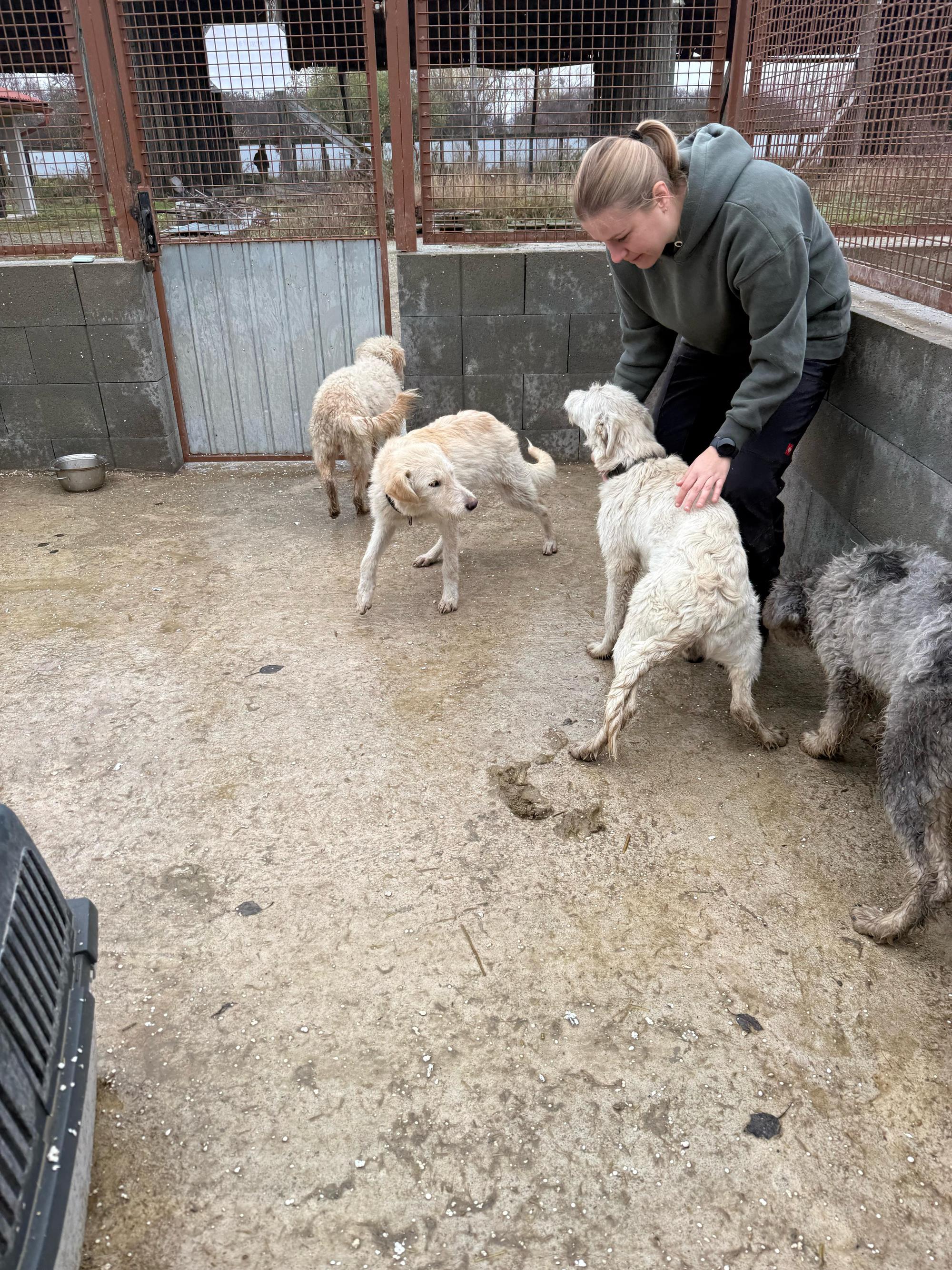 Contesa Chantal Foto 5