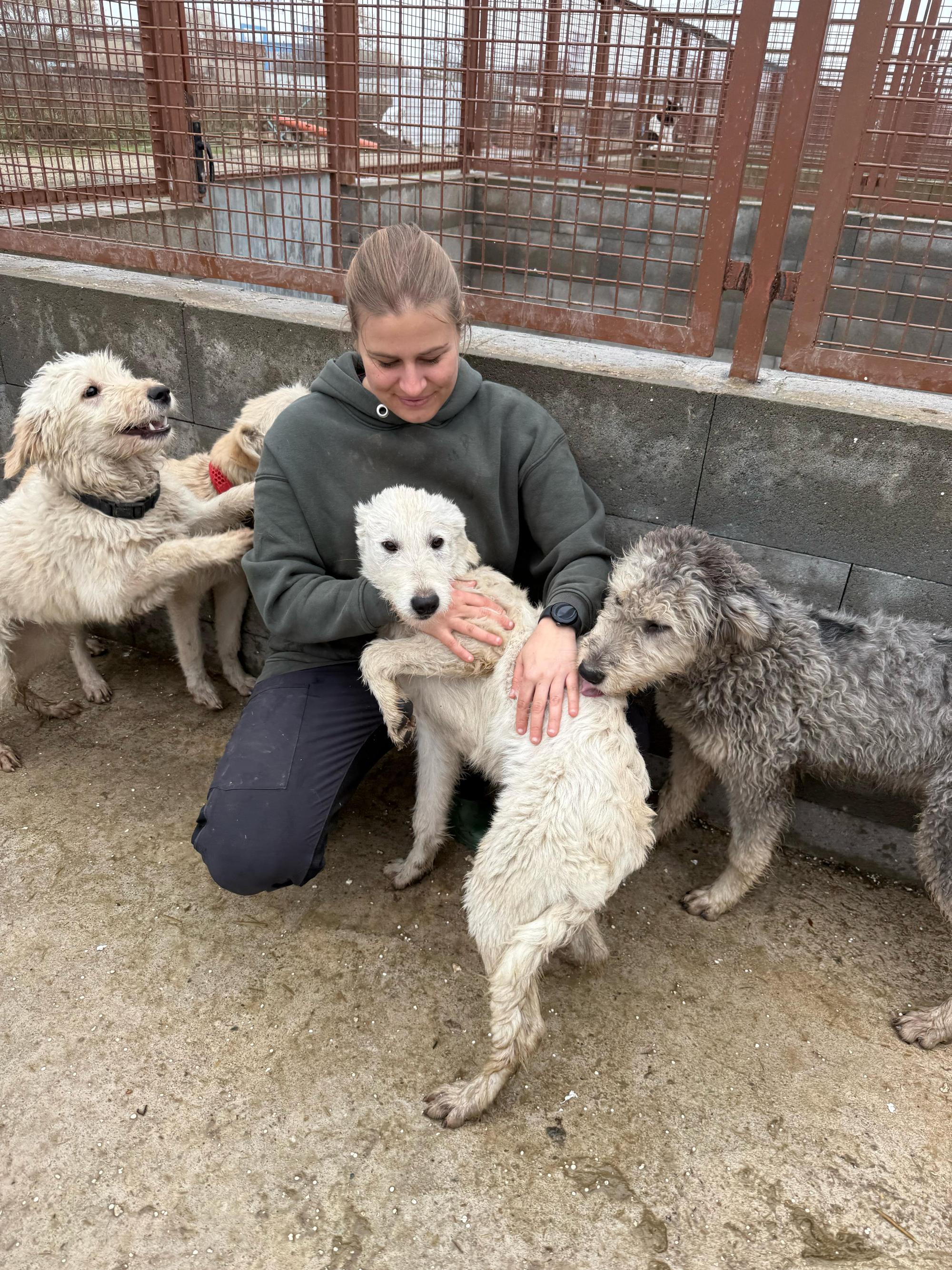 Contesa Chantal Foto 3