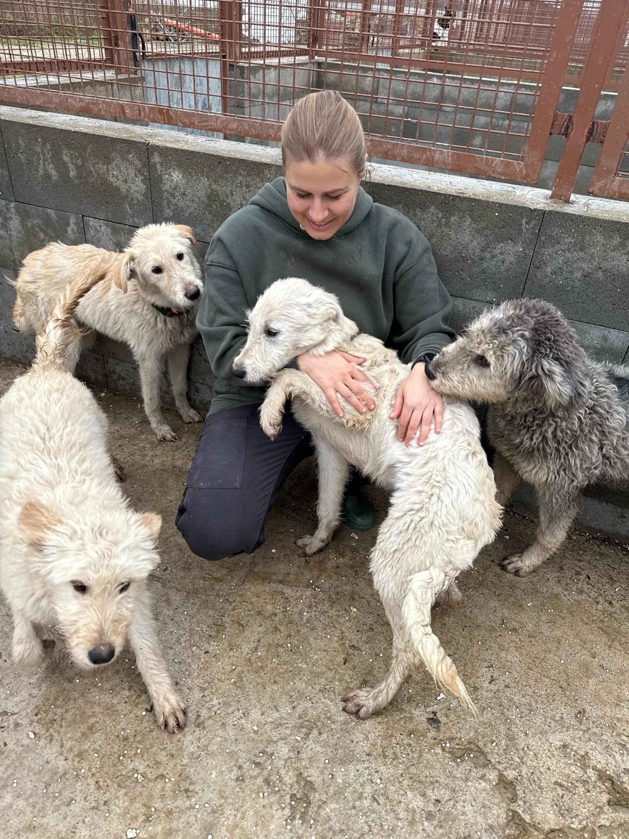 Contesa Chantal Foto 4