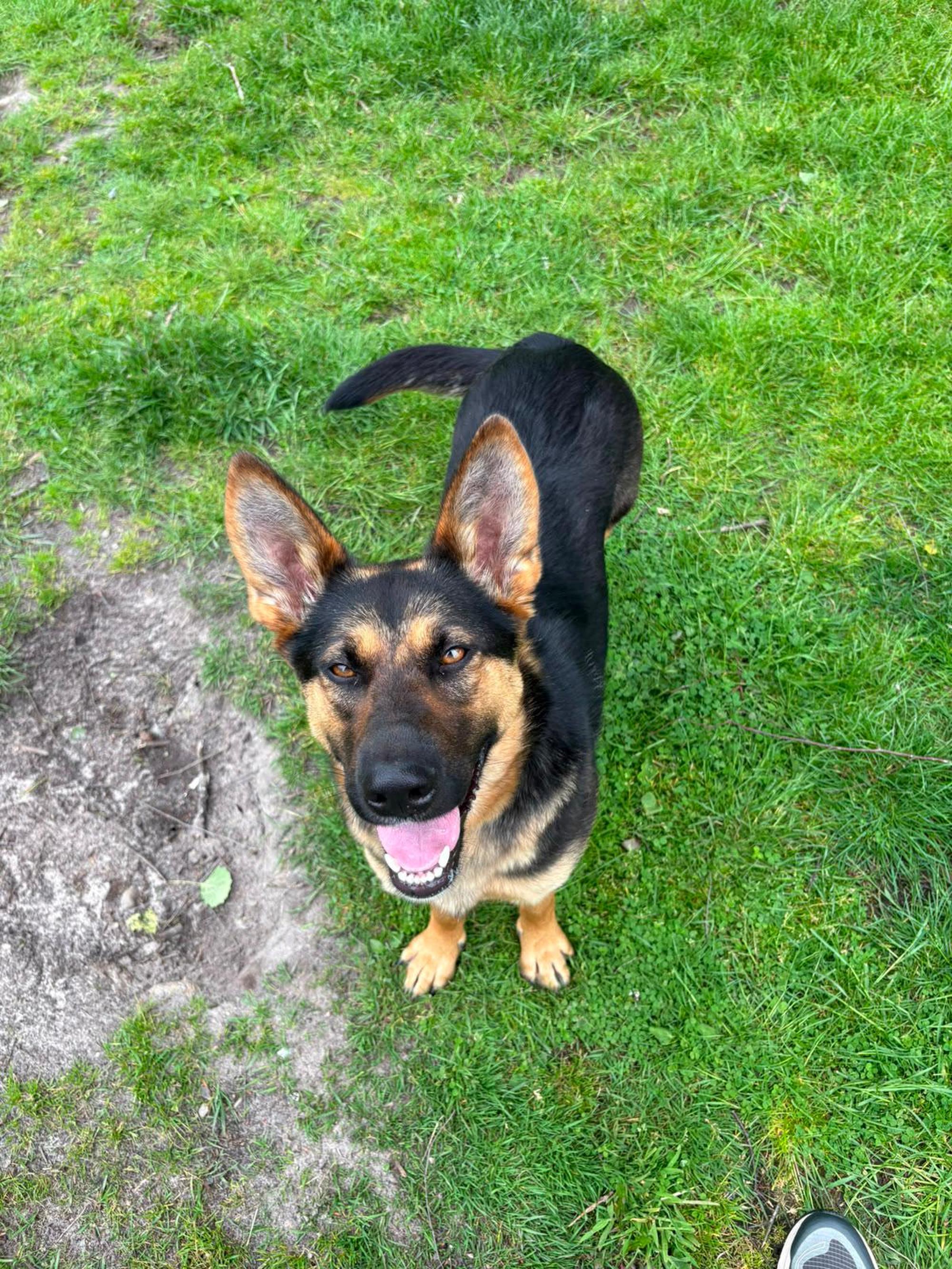 Bolleria Foto 10