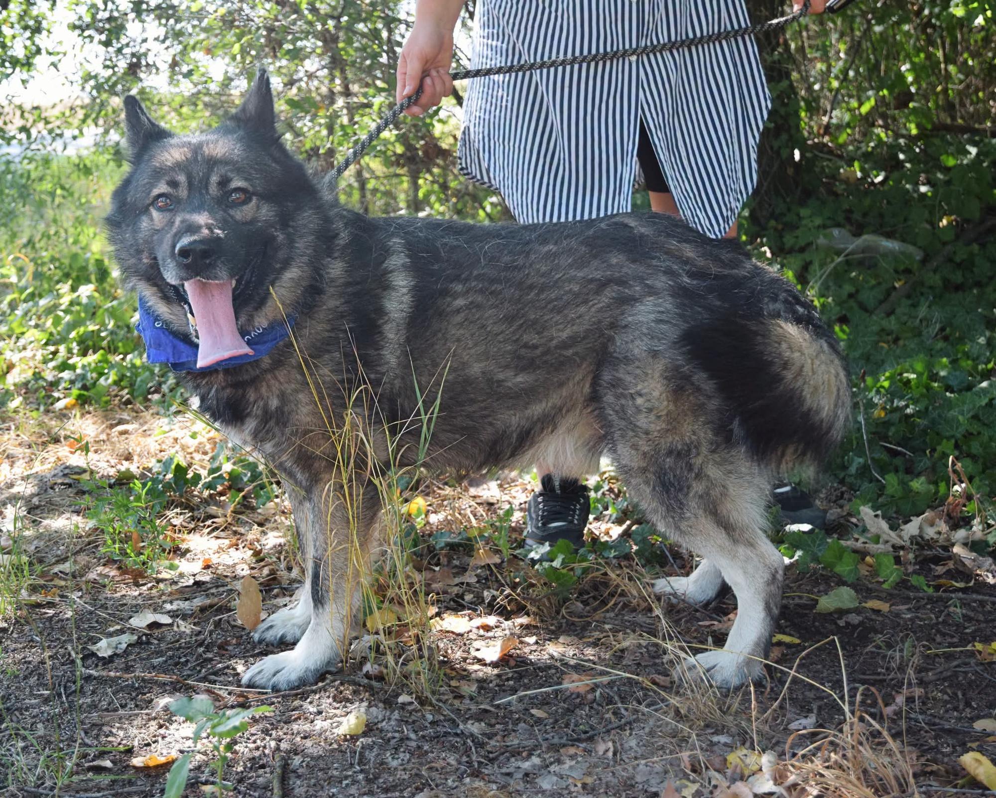 Sinbad Foto 2
