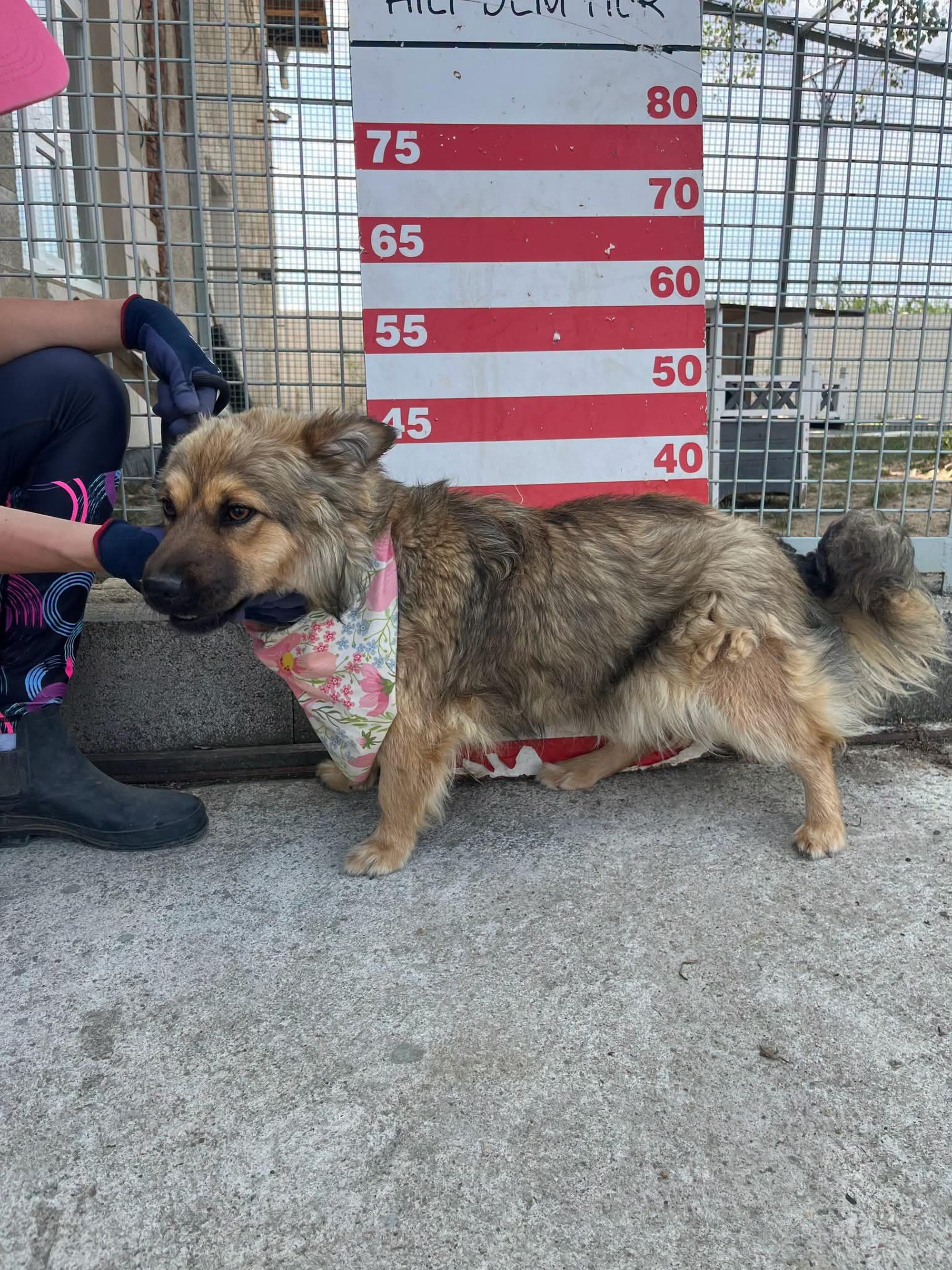 Trixi Foto 4