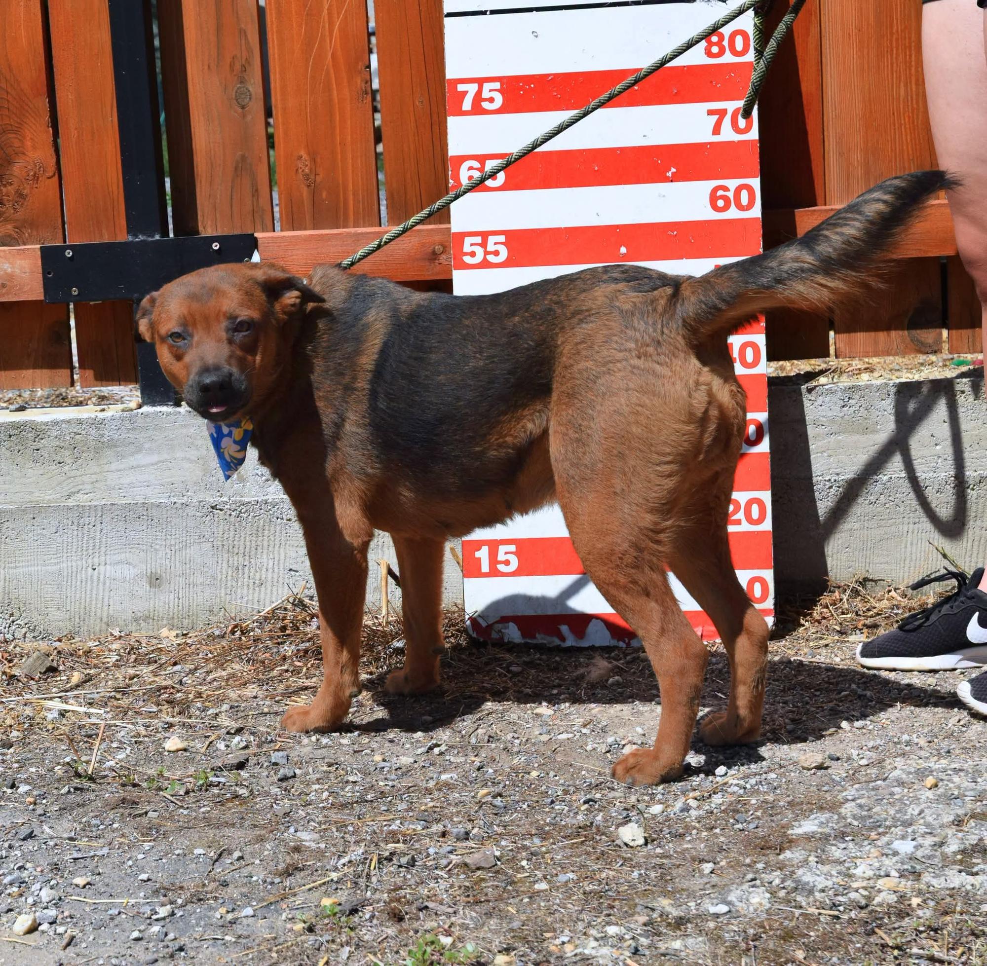 Arabela Foto 3