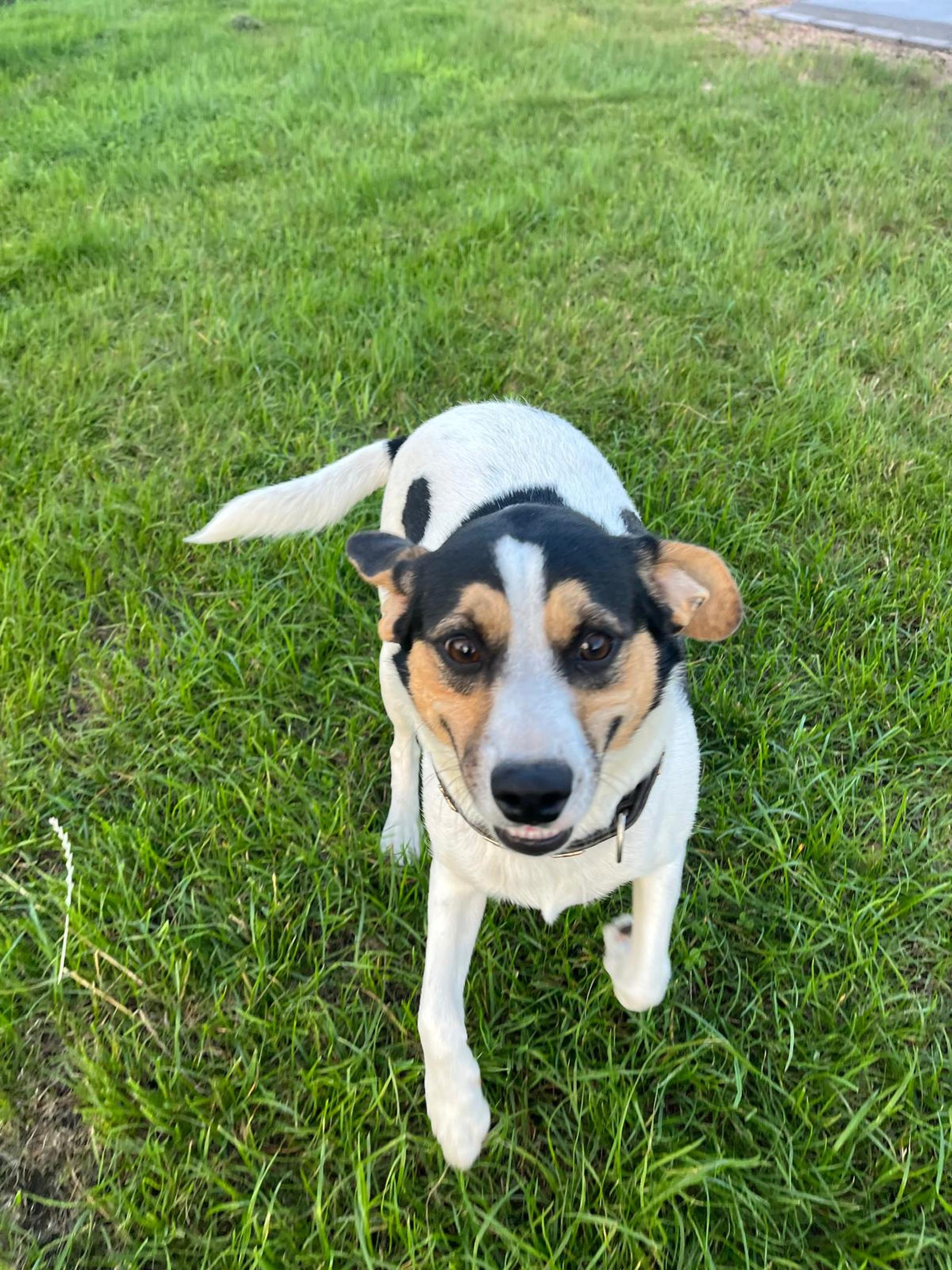 Wolfgang / Wolfi Foto 5