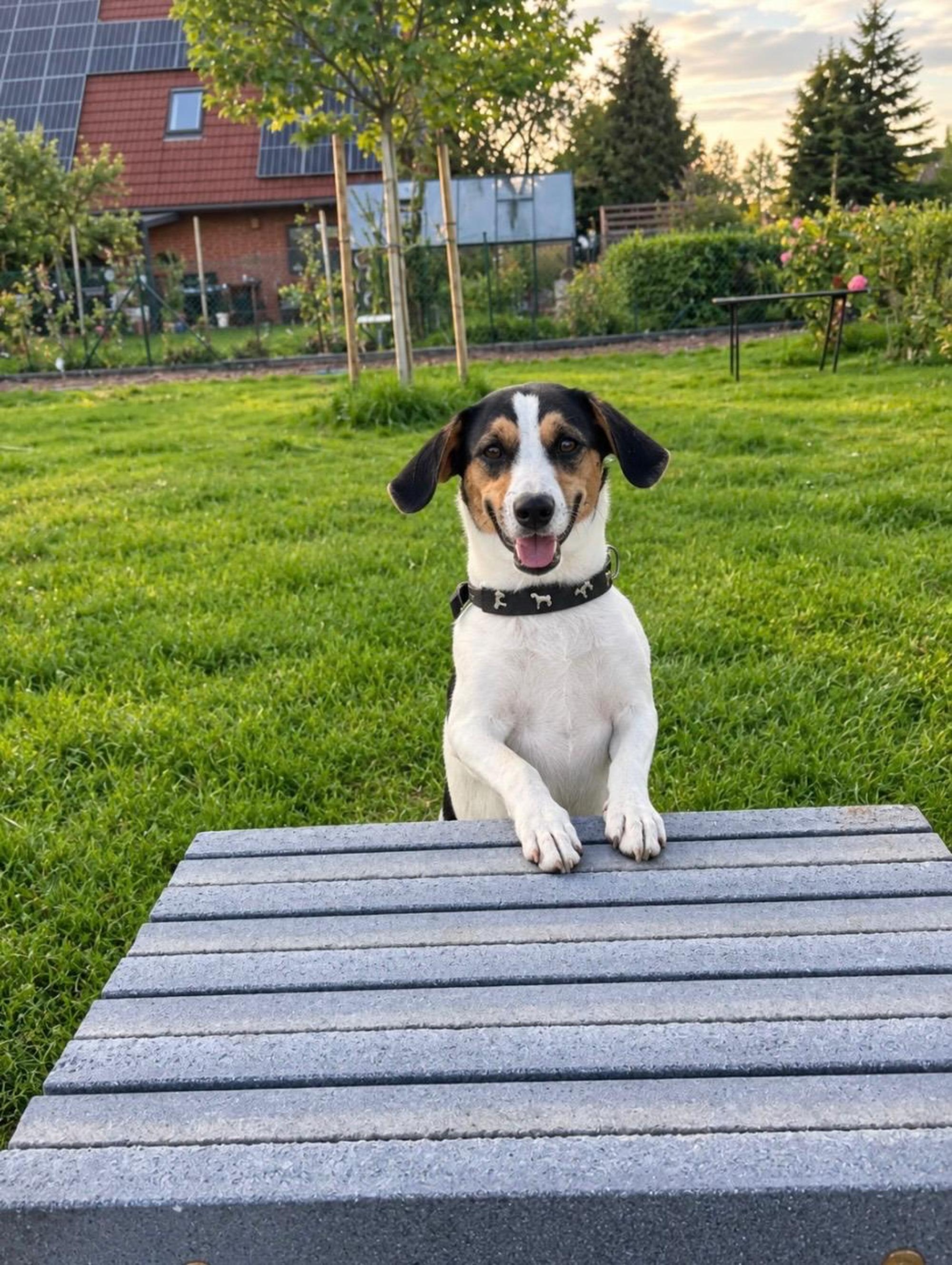 Wolfgang / Wolfi Foto 10