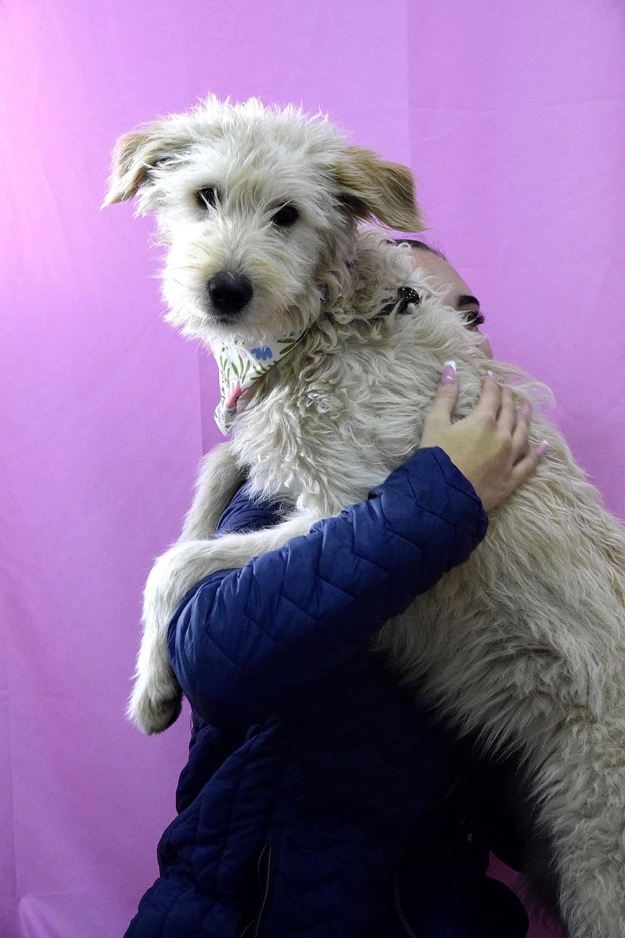 Contesa Chantal Foto 8