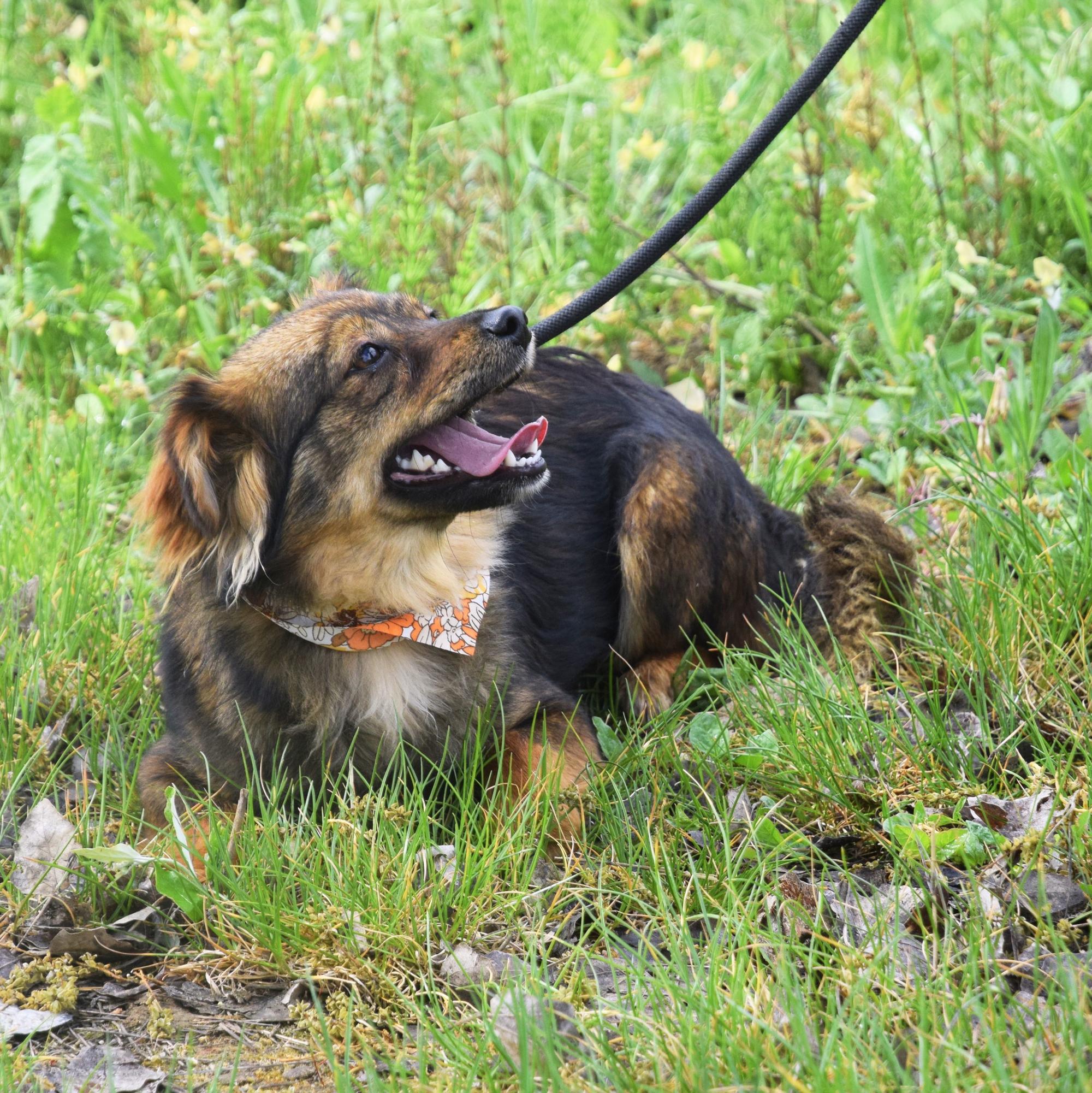 Vozzka Foto 1
