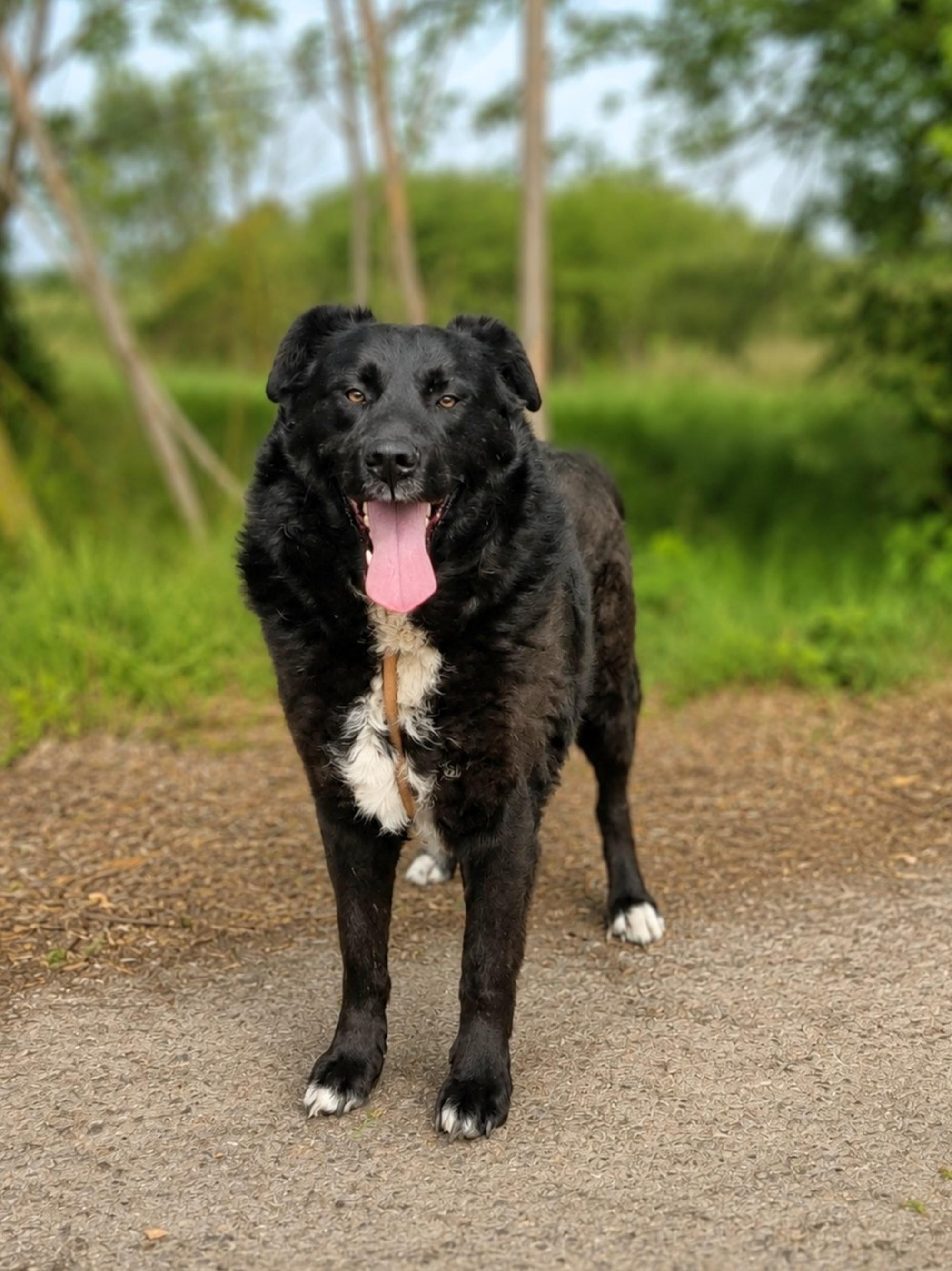Chicago Foto 8