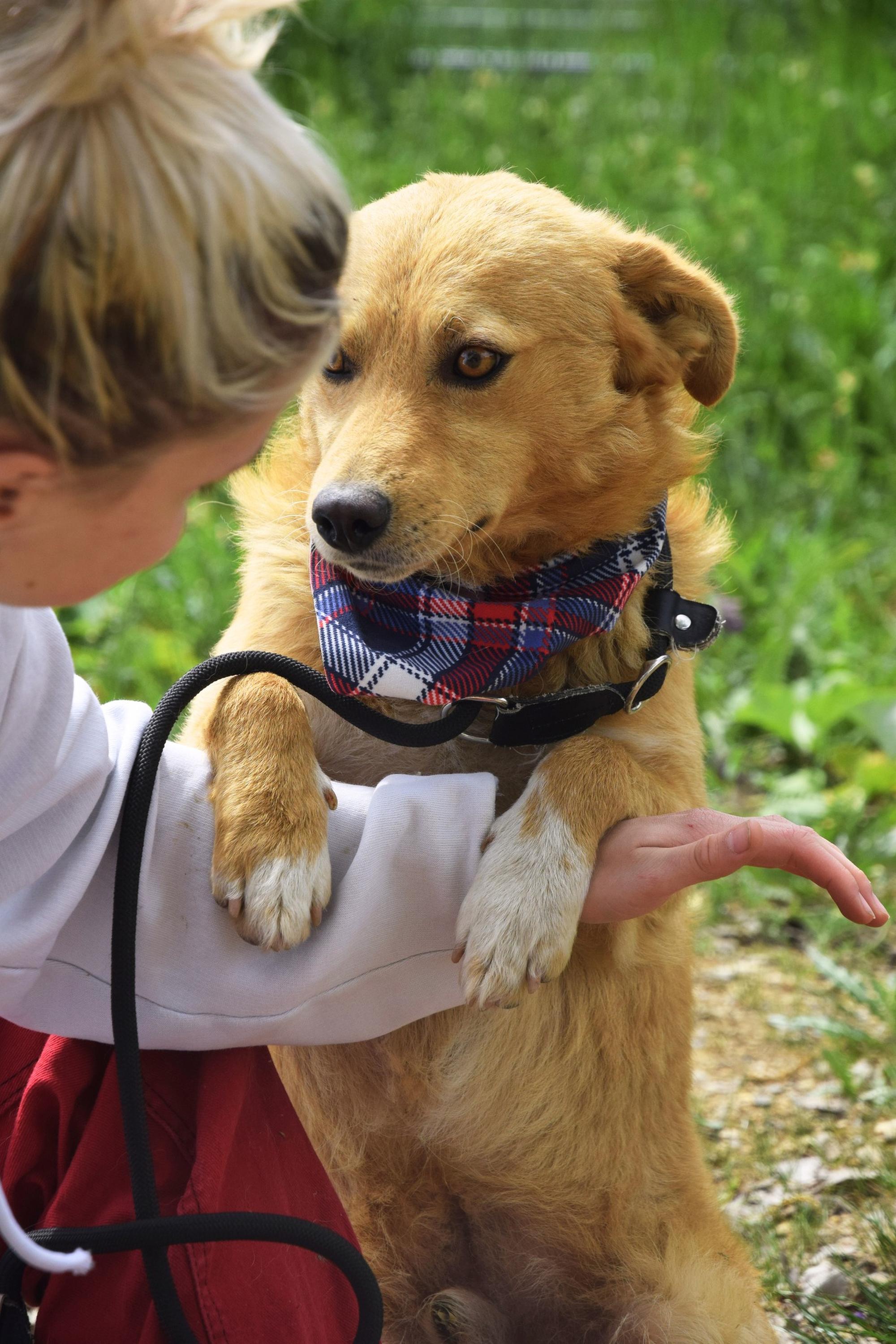 Roland Foto 3