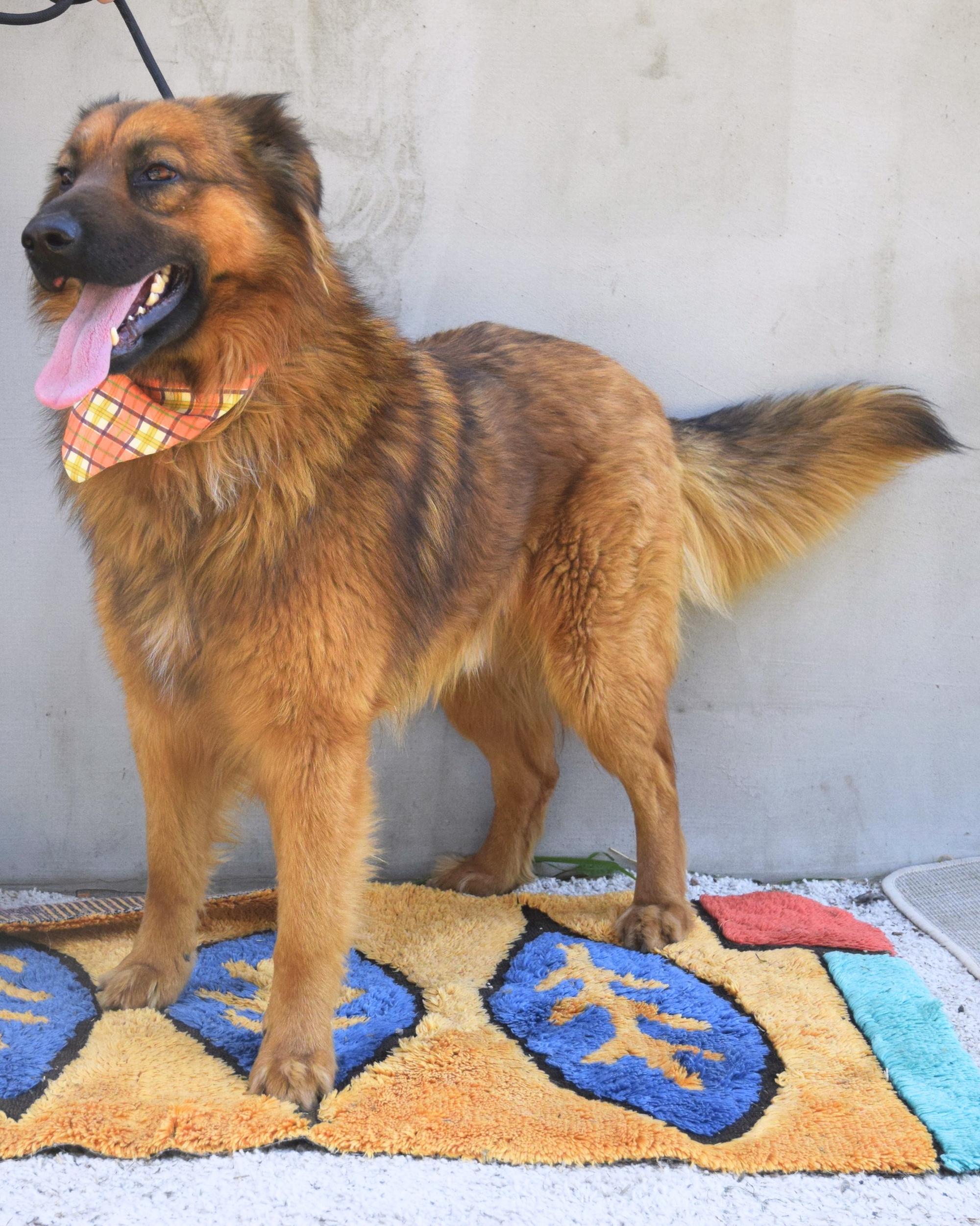 Filemon Foto 2
