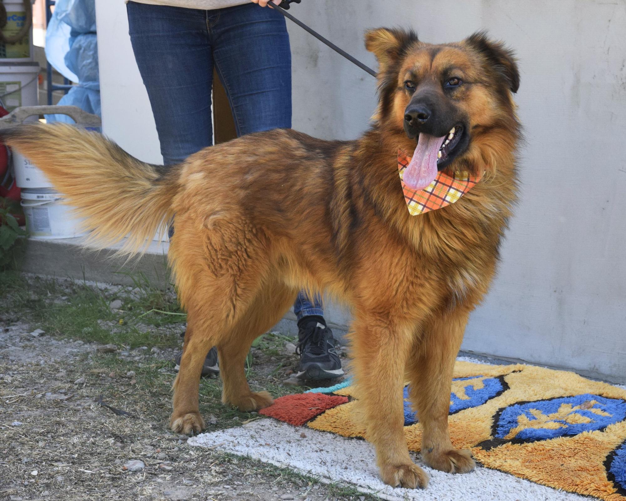 Filemon Foto 1