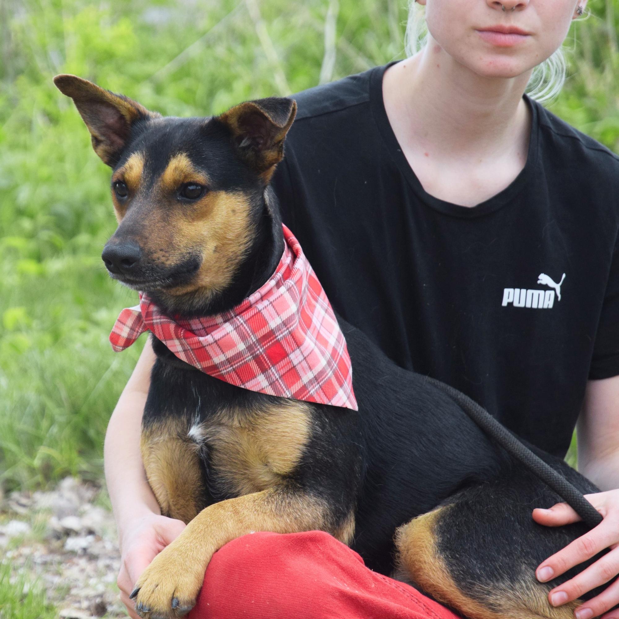 Oxana
