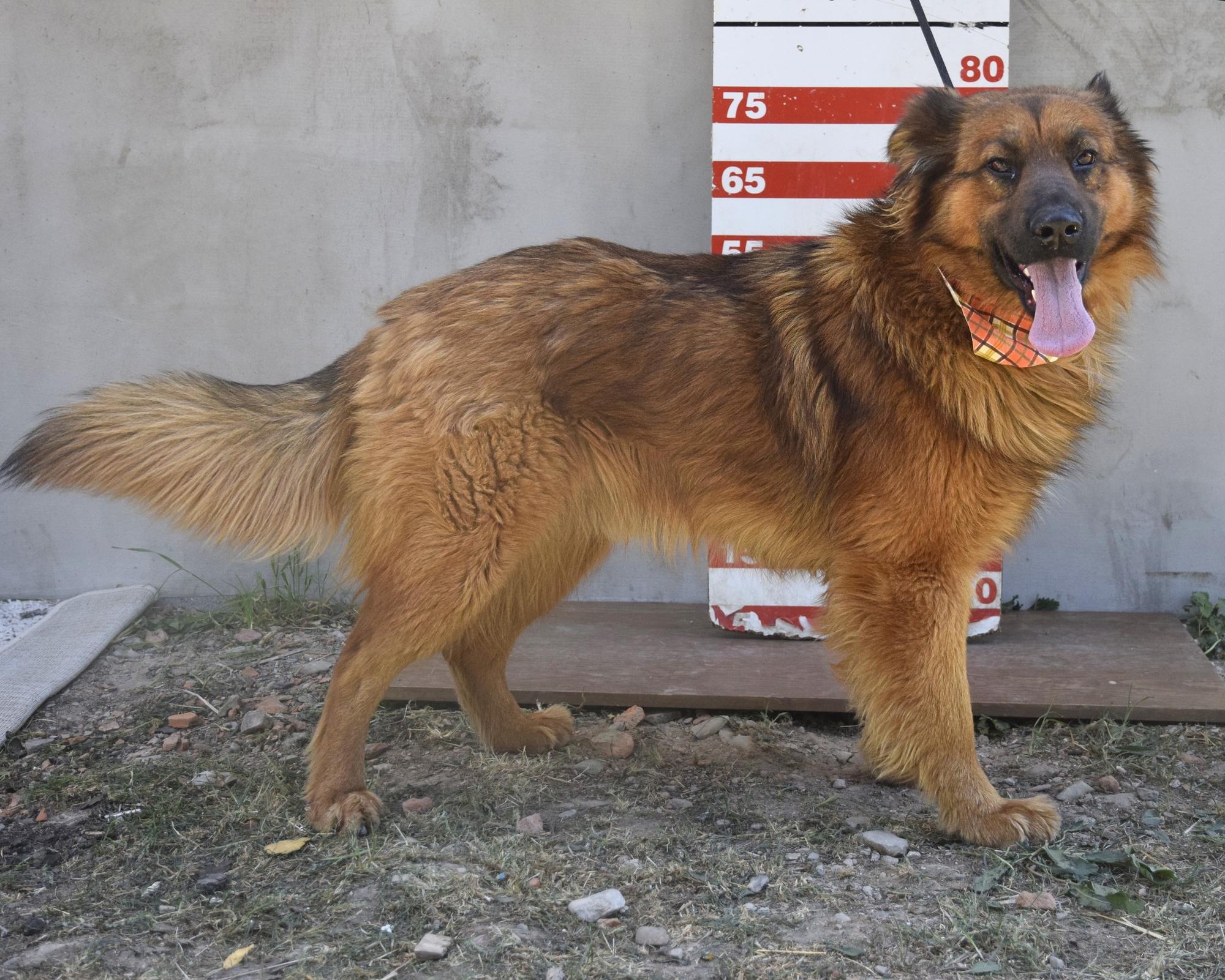Filemon Foto 4