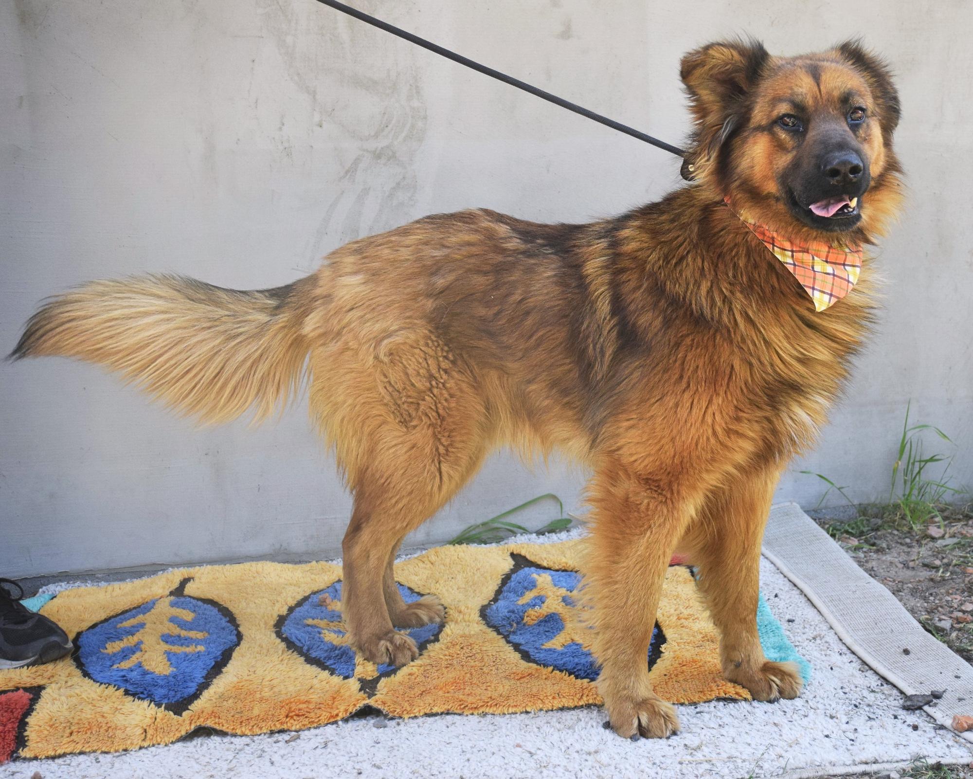 Filemon Foto 3