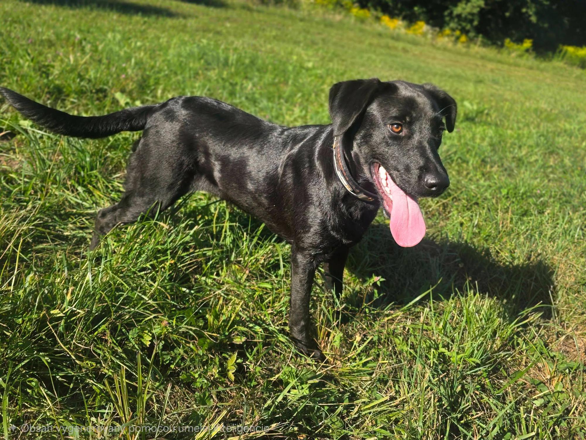 Dorka Foto 3