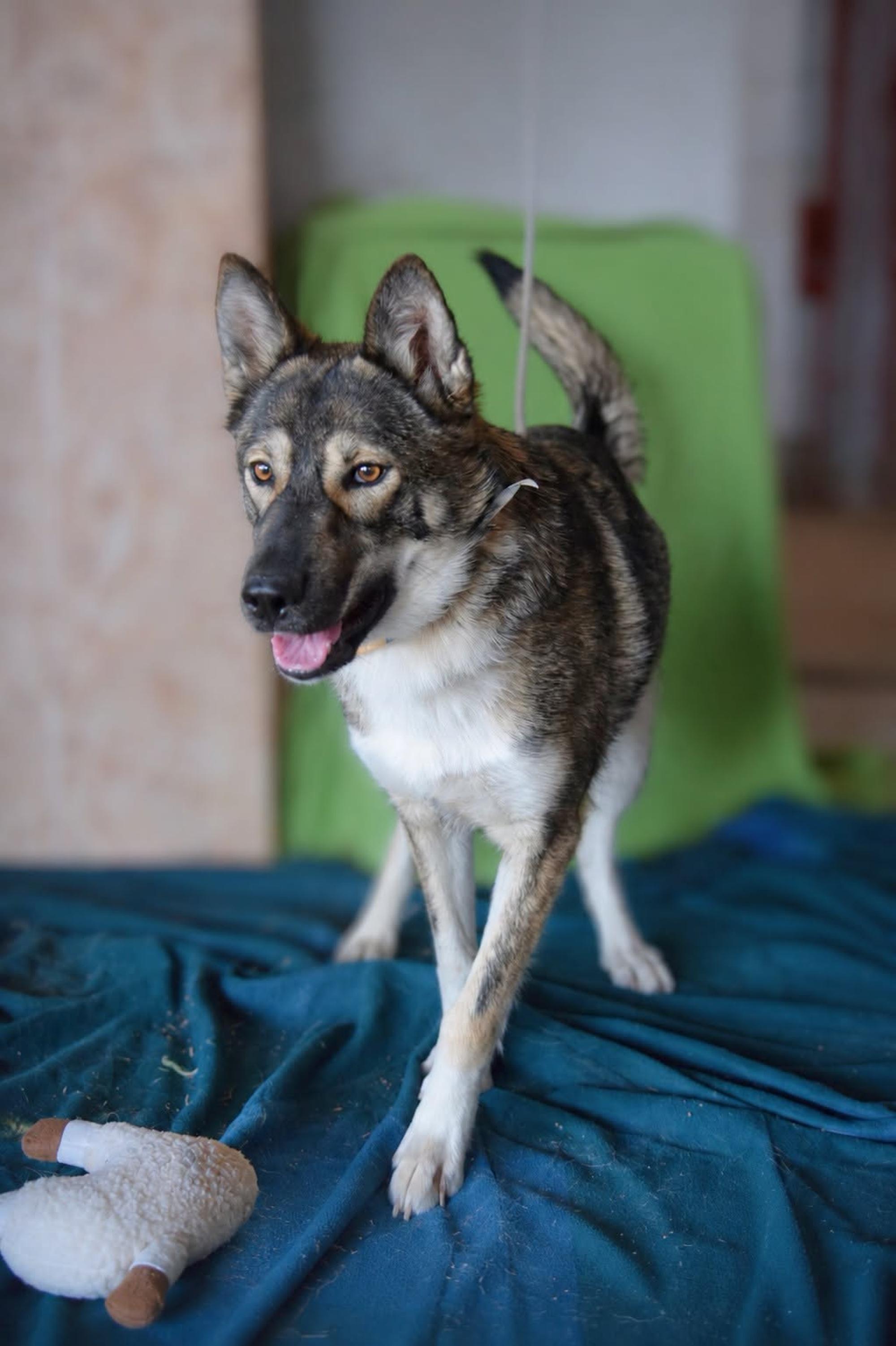 Kiara Foto 6