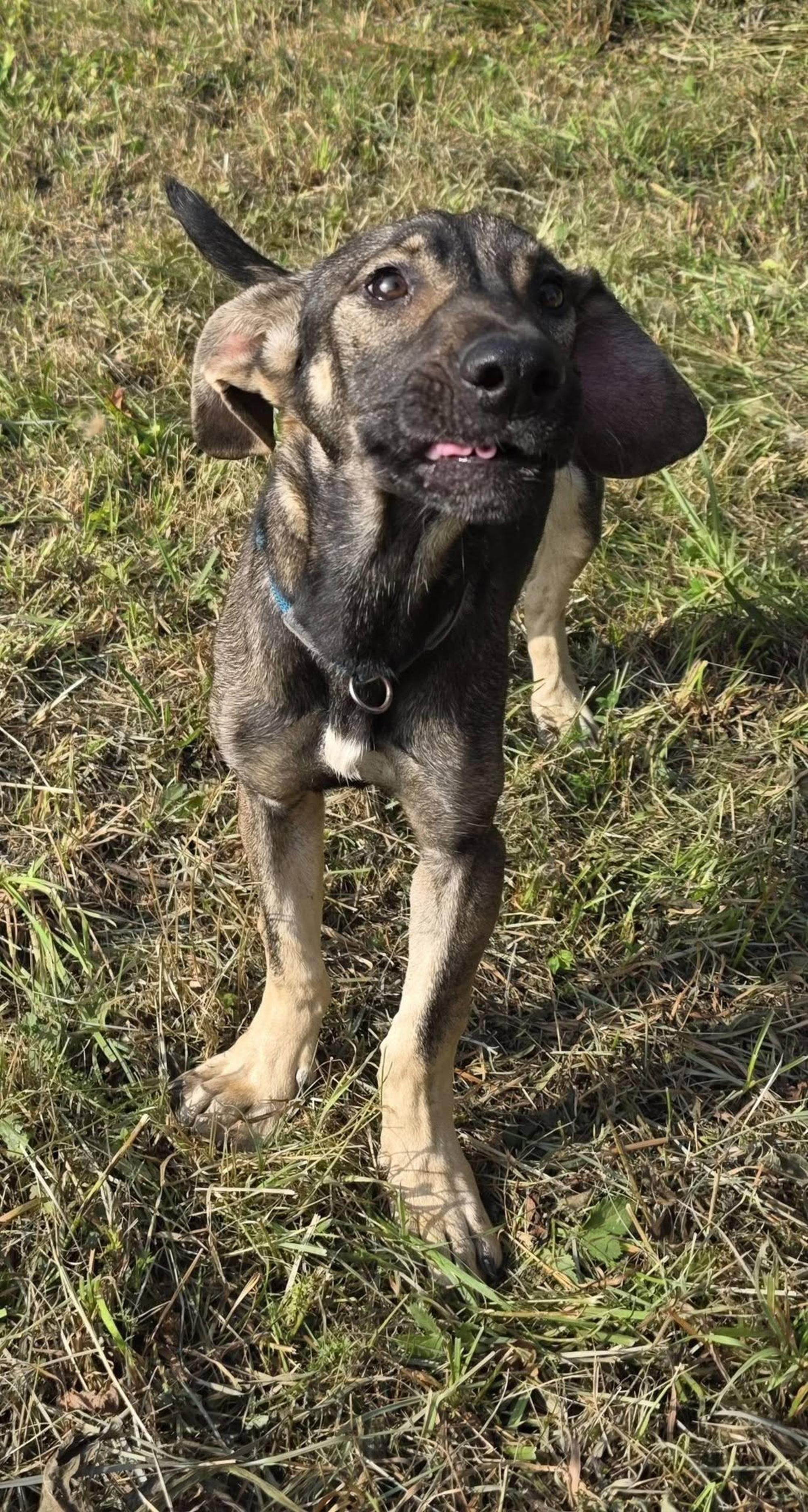 Tia Foto 1