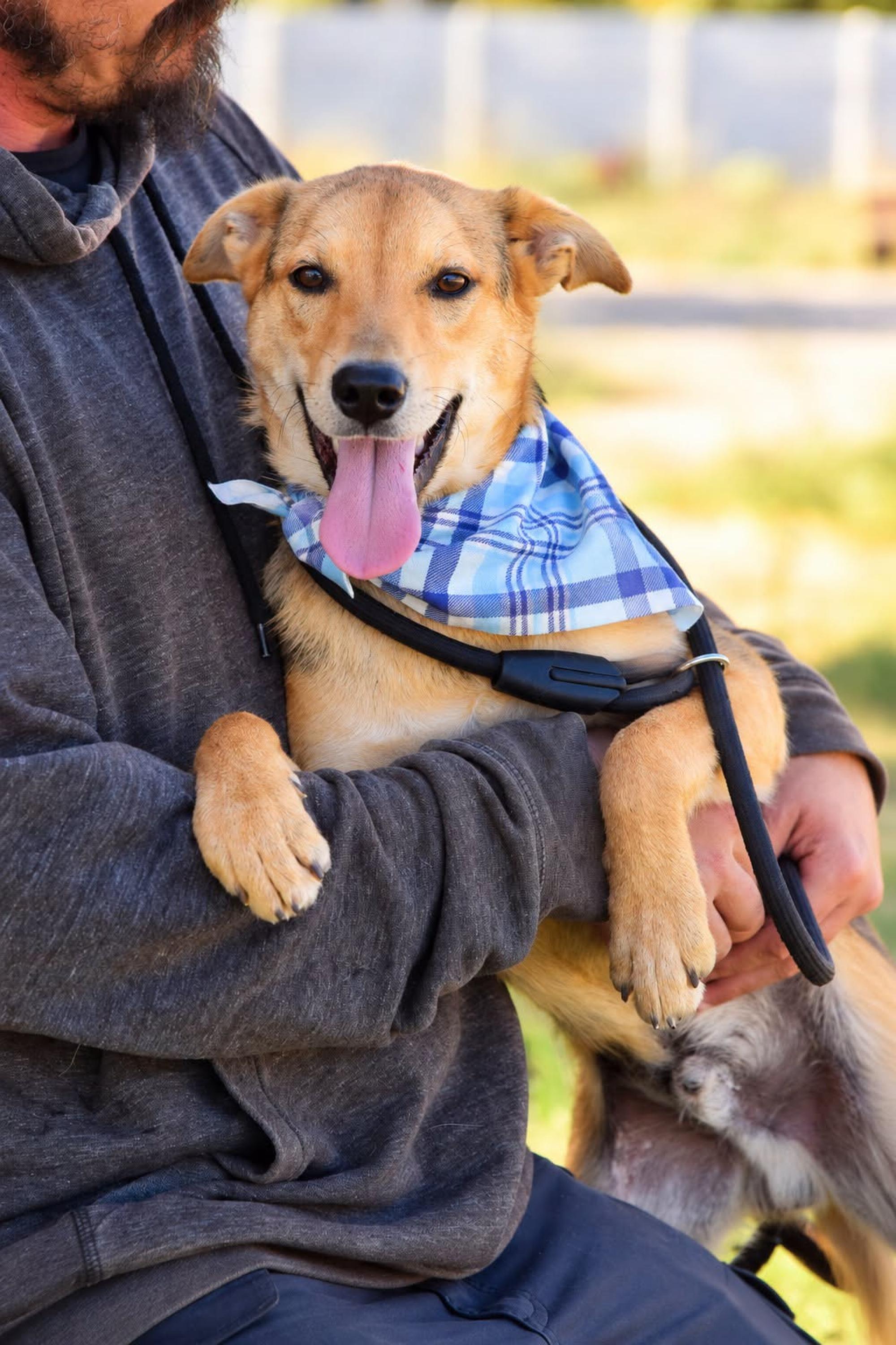 Bowie