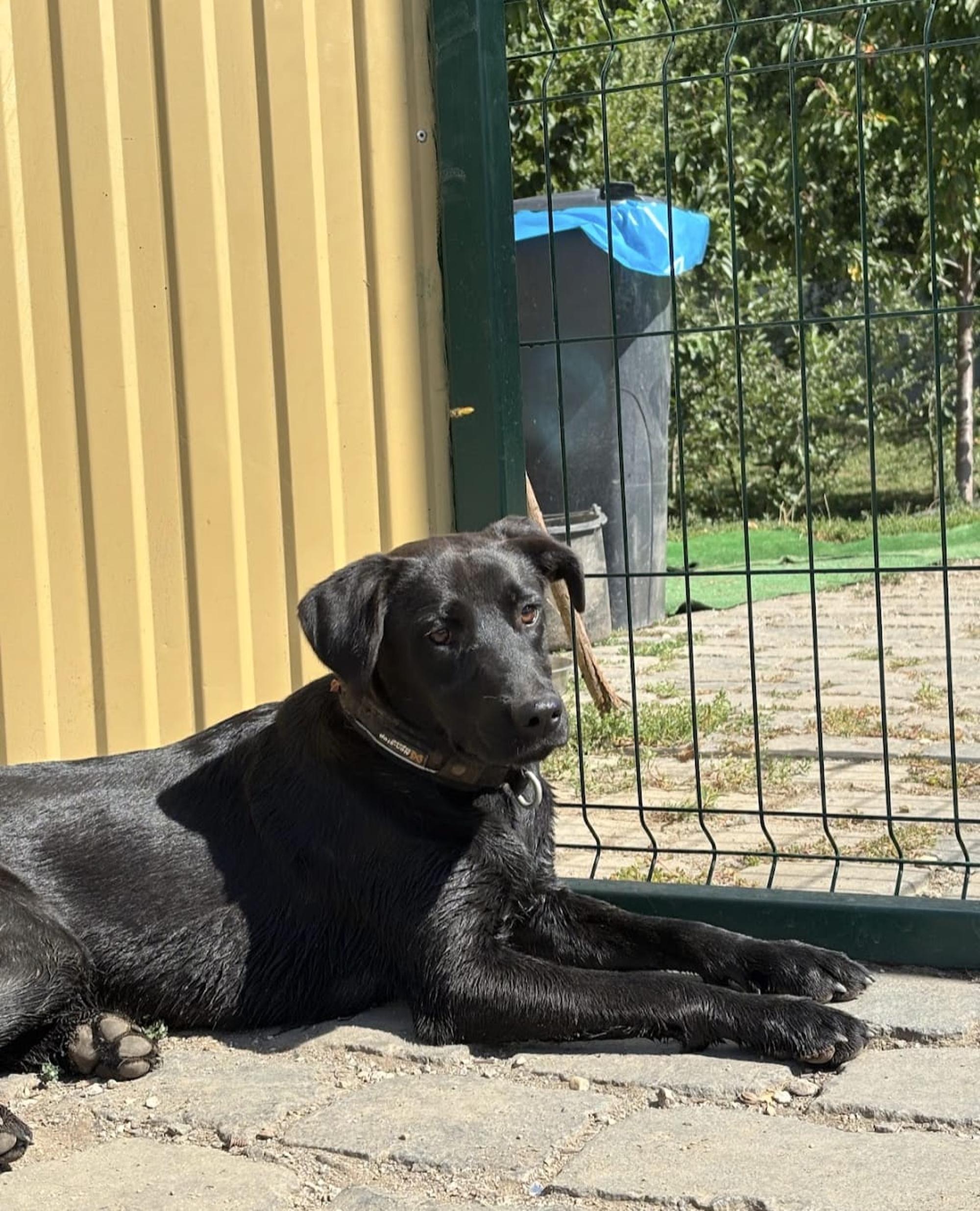 Dorka Foto 1